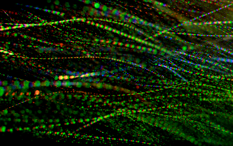Illustration for article titled Así de espectacular es una tormenta de nieve iluminada por un proyector